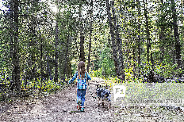 Junges Mädchen geht mit ihrem Hund einen Waldweg entlang; British Columbia  Kanada
