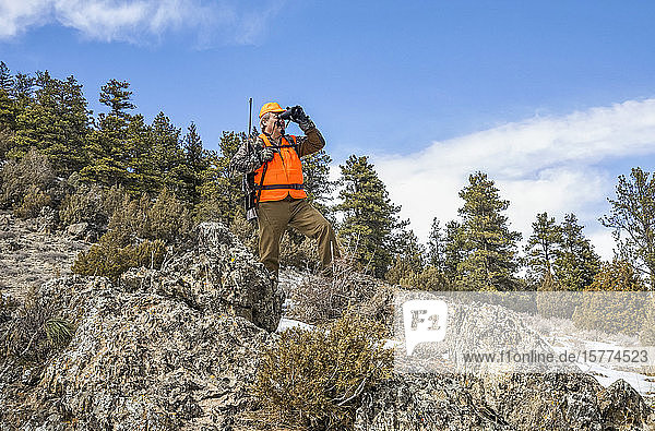 Hunter with orange vest and rifle standing on a hillside and looking out with binoculars; Denver  Colorado  United States of America