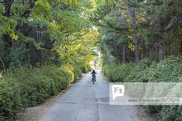 Rückansicht eines Jungen  der mit seinem Fahrrad die Landstraße entlang fährt