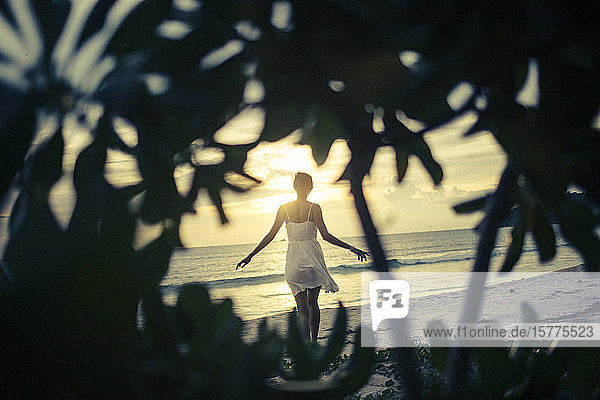Rückansicht einer jungen Frau  die bei Sonnenuntergang am Strand entlang geht  im Vordergrund Palmen.