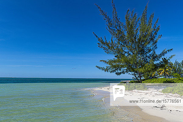 White sand beach  Water Cay  Grand Cayman  Cayman Islands  Caribbean  Central America