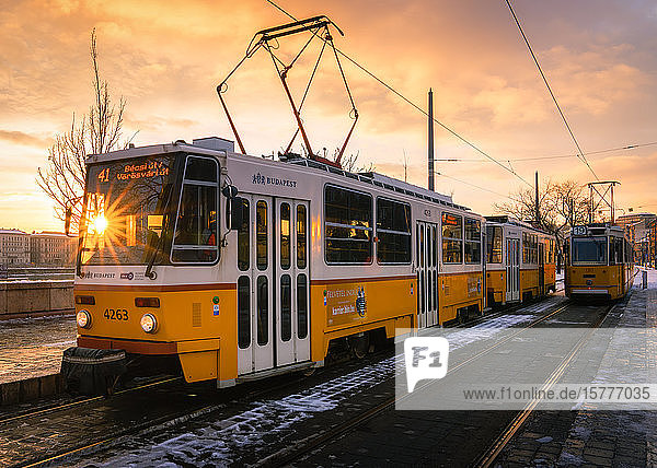 Budapester Straßenbahn bei Sonnenaufgang  Budapest  Ungarn  Europa