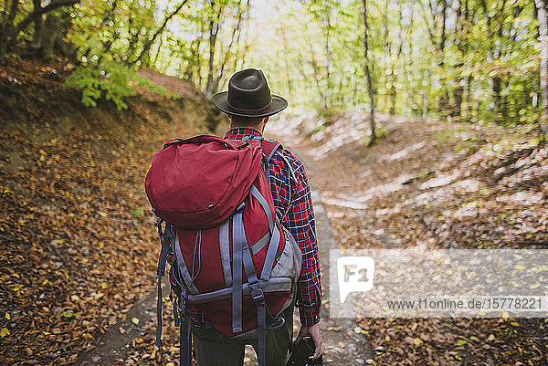 Man hiking in forest
