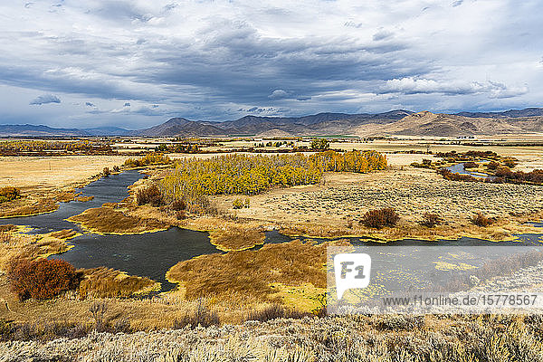 River in marsh