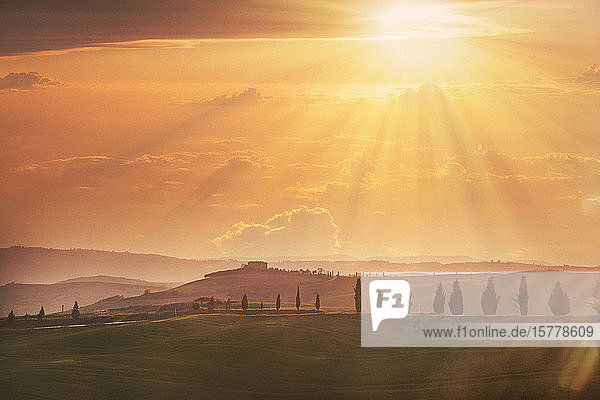 Trees on hills at sunset in Tuscany Italy