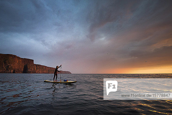Paddelboarder auf dem Wasser bei Sonnenuntergang  Cliffs of Moher  Doolin  Clare  Irland