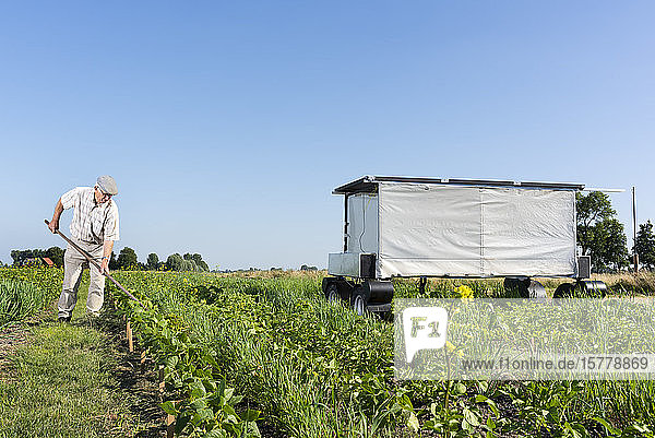 Crops and flowers on agricultural site being monitored by robot in pixelfarming research