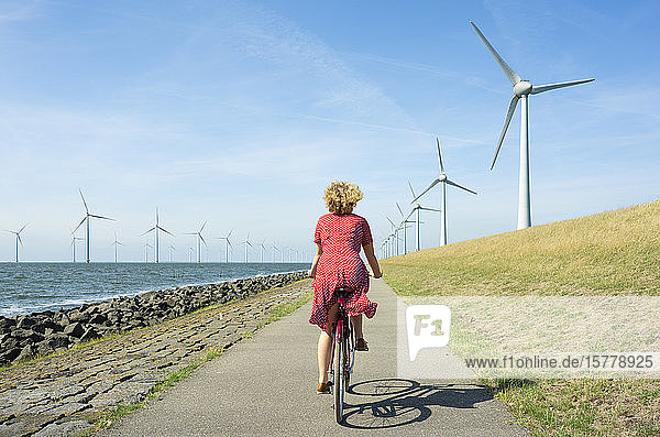 Mädchen radelt zwischen Onshore- und Offshore-Windpark  Urk  Flevoland  Niederlande