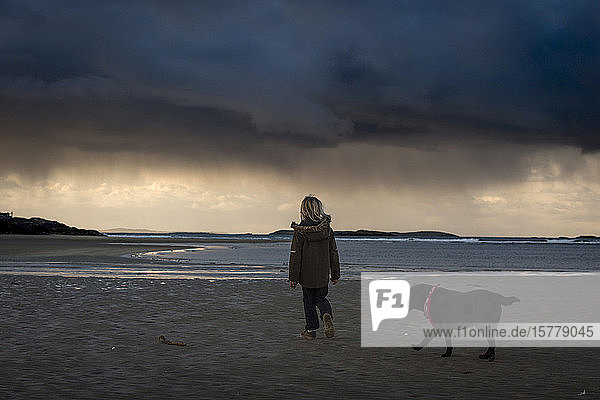 Junge  der mit seinem Haushund am Strand spazieren geht und den dramatisch stürmischen Himmel betrachtet  Rückansicht  Lahinch  Clare  Irland