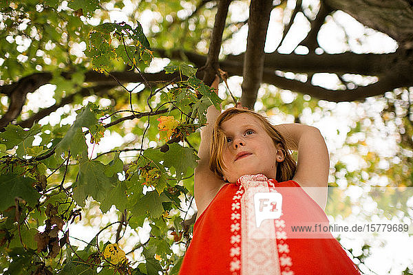Girl hanging on to tree branch