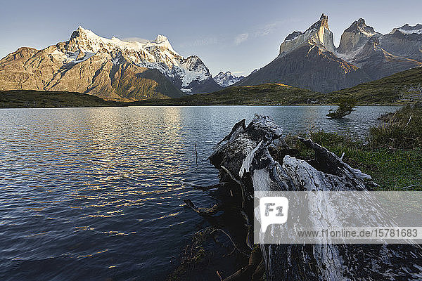 Chile  Provinz Ultima Esperanza  Nordenskjold-See im Morgengrauen mit Cuernos del Paine und Cerro Paine Grande im Hintergrund