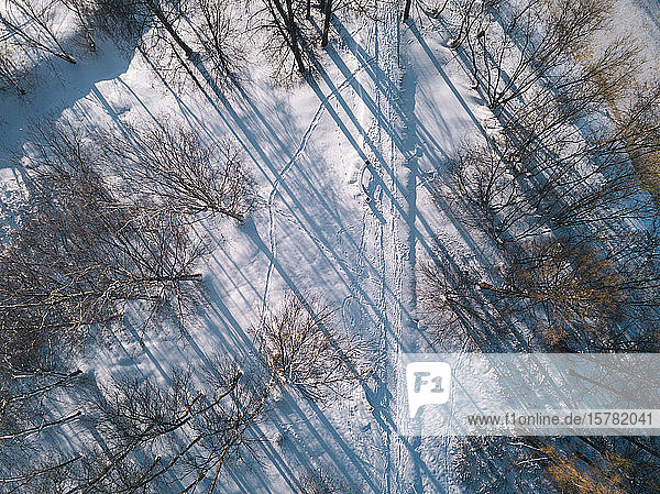 Russia Leningrad Oblast Tikhvin Aerial view of snow-covered road surrounded by bare trees