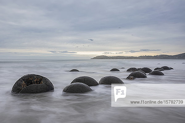Neuseeland  Ozeanien  Südinsel  Southland  Hampden  Otago  Moeraki  Koekohe Beach  Moeraki Boulders Beach  Moeraki Boulders  Runde Steine am Strand