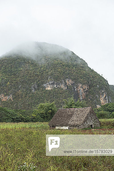 Kuba  Tabaktrocknungsscheune im Vinales-Tal mit bewaldetem Hügel im Hintergrund