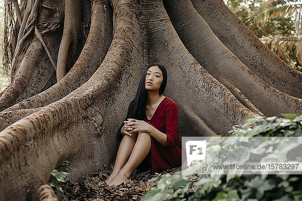 Schöne junge Frau in einem roten Kleid an einem Baum mit großen Wurzeln sitzend