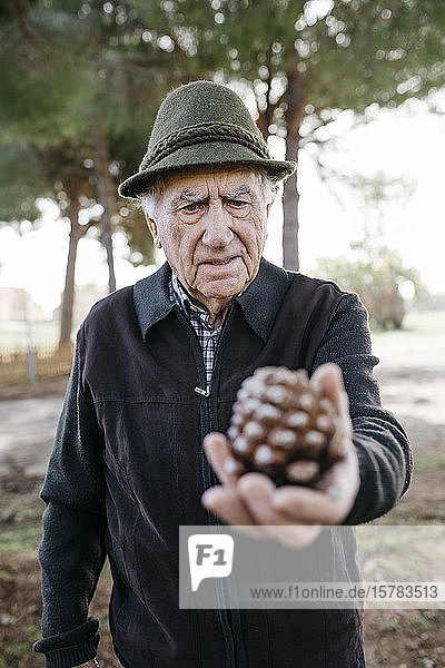 Old man looking at pine cone in his hand