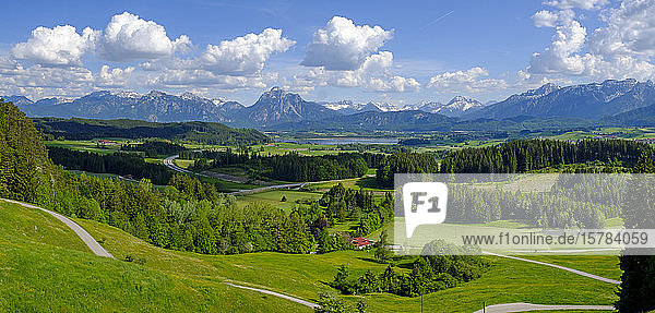 Deutschland  Schwaben  Panorama der grünen Alpenwiesen im Frühling