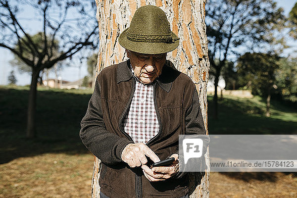 Old man using smartphone leaning on tree trunk