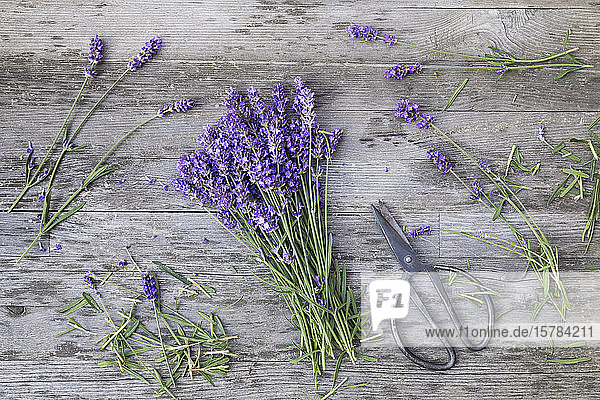 Bunch of lavender (Lavandula angustifolia) on wooden table