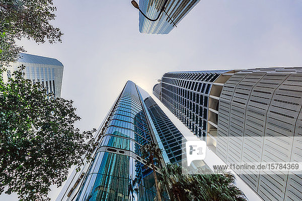 Australien  Brisbane  Niedrigwinkelansicht von Wolkenkratzern