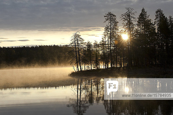 Finnland  Kainuu  Kuhmo  See bei nebligem Sonnenaufgang