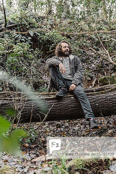 Junger Mann im Wald  auf Baumstamm sitzend
