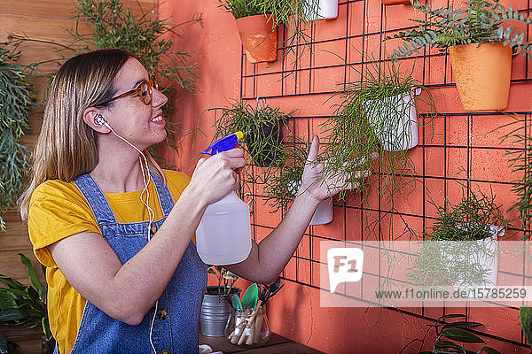 Frau sprüht Wasser auf die Rhipsalis-Pflanze auf ihrer Terrasse