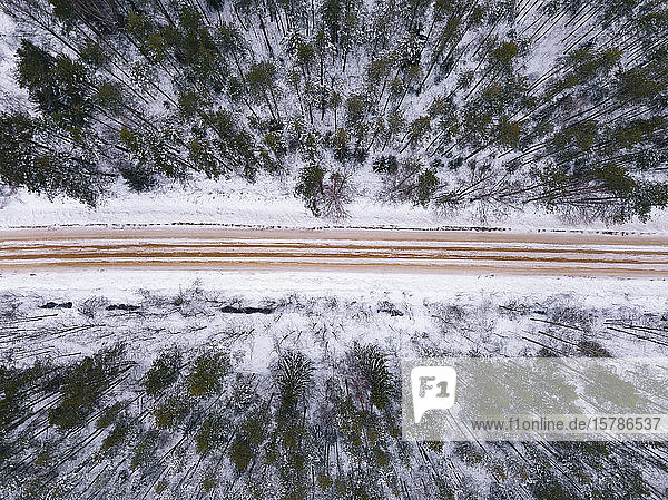 Russia Leningrad region Aerial view of road crossing forest in Winter