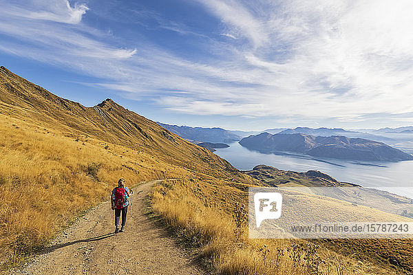 Woman hiking at Roys Peak  Lake Wanaka  New Zealand