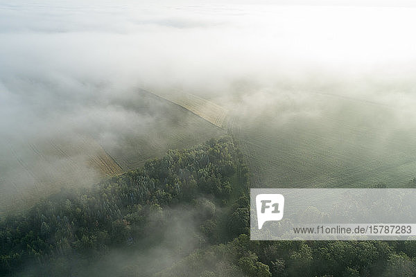 Deutschland  Bayern  Franken  Luftaufnahme von Feldern und Wäldern  die am Morgen mit Nebel bedeckt sind