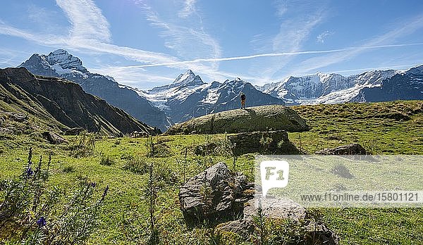 Hiker stands on a large rock  behind him snow-covered Schreckhorn and Wetterhorn  Grindelwald  Bern  Switzerland  Europe