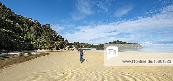 Junger Mann  der am Strand spazieren geht  Stillwell Bay  Abel-Tasman National Park  Tasman  Südinsel  Neuseeland  Ozeanien