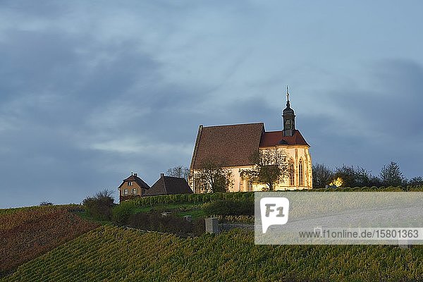 Wallfahrtskirche Maria im Weingarten  Volkach  Mainfranken  Unterfranken  Franken  Bayern  Deutschland  Europa
