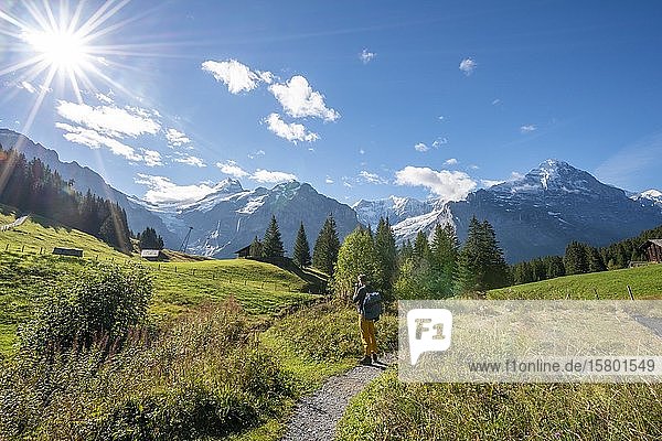 Hikers on the hiking trail to Bachalpsee  behind snow-covered Schreckhorn and Eiger  Grindelwald  Bern  Switzerland  Europe