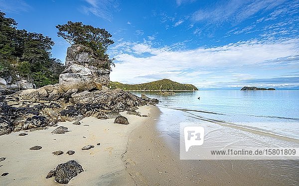 Bewachsener Felsen am Strand der Stillwell Bay  Abel Tasman National Park  Tasman  Südinsel  Neuseeland  Ozeanien