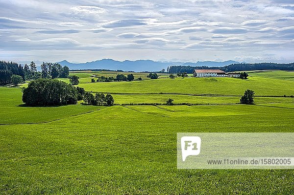 Bauernhof  Gehöft inmitten von grünen Wiesen vor den Chiemgauer Alpen  Amerang  Chiemgau  Oberbayern  Bayern  Deutschland  Europa