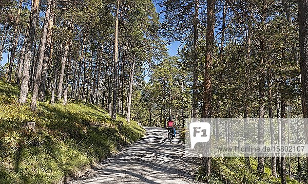 Radfahrer  Mountainbiker auf Schotterstraße durch Wald  Schotterstraße zum Karwendelhaus  Karwendeltal  Tirol  Österreich  Europa