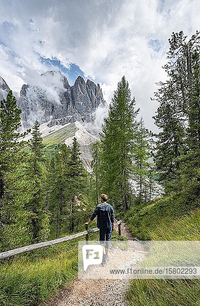 Young man  hiker on a hiking trail in the forest  in the back mountain peaks of the Geislergruppe  Parco Naturale Puez Odle  South Tyrol  Italy  Europe