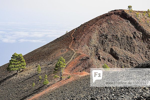 Wanderweg zum Vulkan Martin auf La Palma La Palma Kanaren Spanien Europa