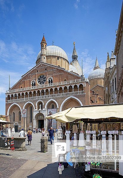 Souvenirladen  Domplatz mit Basilika des Heiligen Antonius  Basilika des Heiligen Antonius  Padua  Provinz Padua  Venetien  Italien  Europa