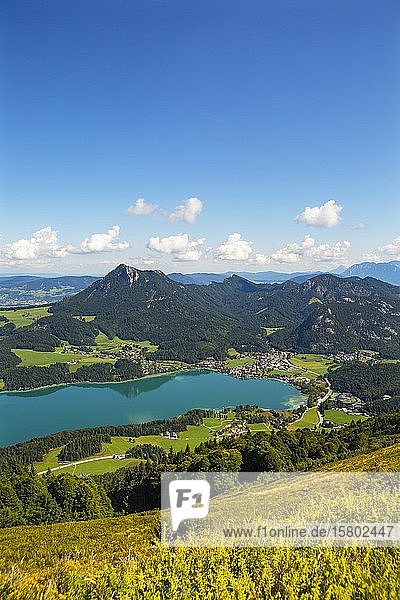 Fuschlsee  Blick vom Filbling auf Fuschl am See  Salzkammergut  Bundesland Salzburg  Österreich  Europa