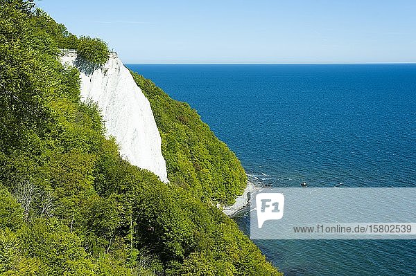 Königsstuhl und Ostsee  Nationalpark Jasmund  UNESCO-Weltnaturerbe  Rügen  Mecklenburg-Vorpommern  Deutschland  Europa