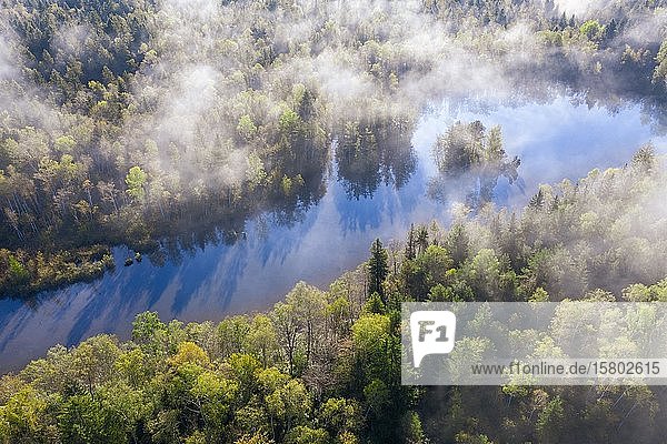 Wafts of mist over forest and pond  Birkensee near Geretsried  drone shot  Upper Bavaria  Bavaria  Germany  Europe