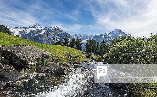 Mountain stream  behind it snow-covered Schreckhorn and Eiger  Grindelwald  Bern  Switzerland  Europe