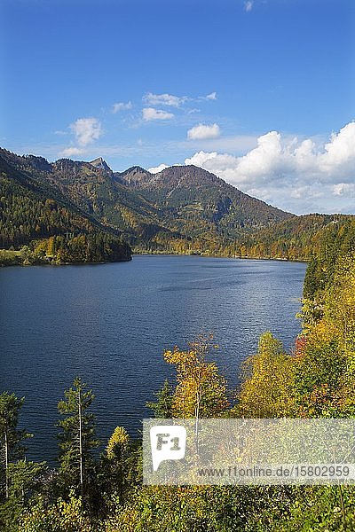 Bergsee  Schwarzensee bei St. Wolfgang  Salzkammergut  Oberösterreich  Österreich  Europa