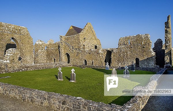 Nationales Monument  Knockmoy Abbey  Grafschaft Galway  Republik Irland
