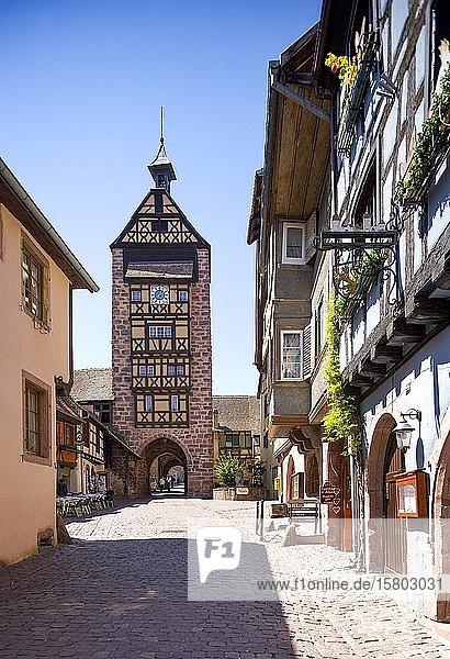 Fachwerkhäuser in der Altstadt mit Doldertorturm  Riquewihr  Elsass  Frankreich  Europa