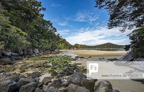 Moss-covered stones on the beach of Stillwell Bay  Abel Tasman Coastal Track  Abel Tasman National Park  Tasman  South Island  New Zealand  Oceania