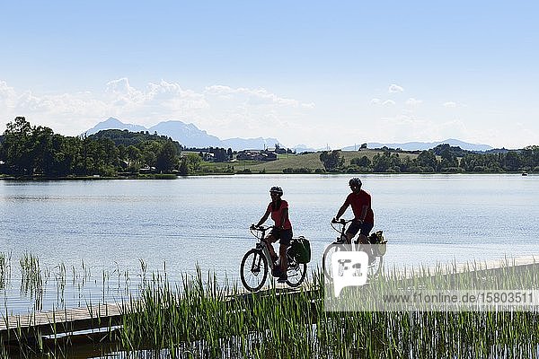 Couple with electric bikes riding on the shore path of Lake Wallersee near Seebrunn on the Via Nova cycle path  Salzburg Lakeland  Salzburg Land  Austria  Europe