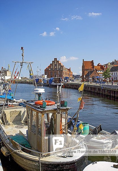 Baltic Sea  fishing boats in the Old Port  Hanseatic City of Wismar  Mecklenburg Vorpommern  Germany  Europe
